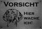Preview: Edelstahl Warnschild Afghanischer Windhund VORSICHT Hier wache ich!